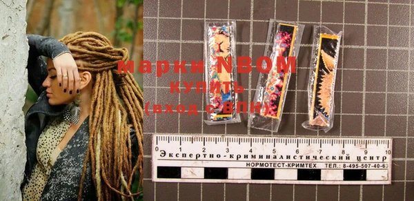 амф Няндома