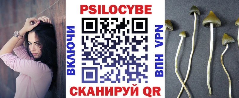 Псилоцибиновые грибы GOLDEN TEACHER  Купить  Павловская 